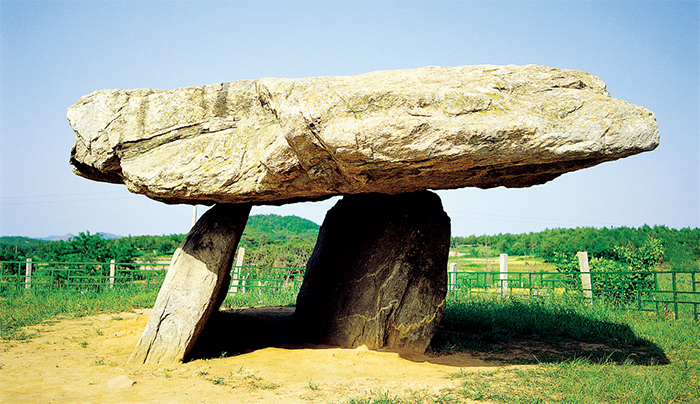 tabledolman_700.jpg